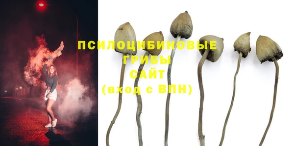 мет Гусев