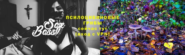 мет Гусев