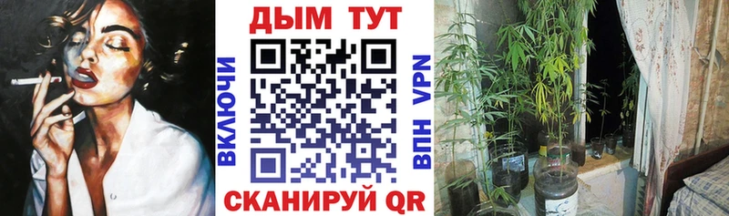 Каннабис ГИДРОПОН купить Харовск